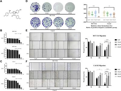 Promotion of colorectal cancer cell death by ezetimibe via mTOR signaling-dependent mitochondrial dysfunction